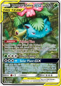 Venusaur & Snivy GX - SM229 - SM Promos (NM)