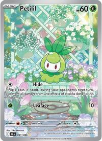 Petilil - 091/086 - SV: Black Bolt (NM)
